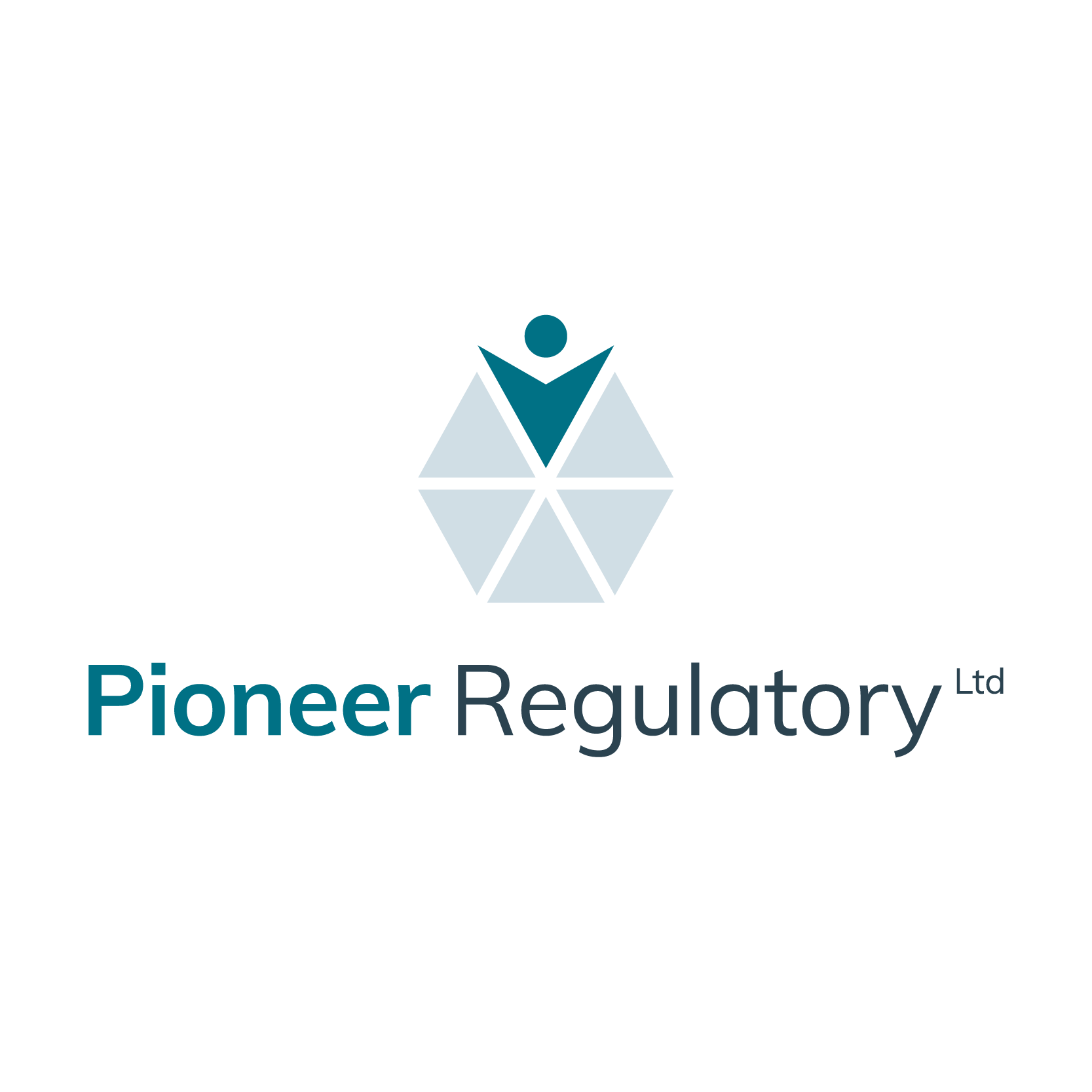 Logo Design for HR Consultancy