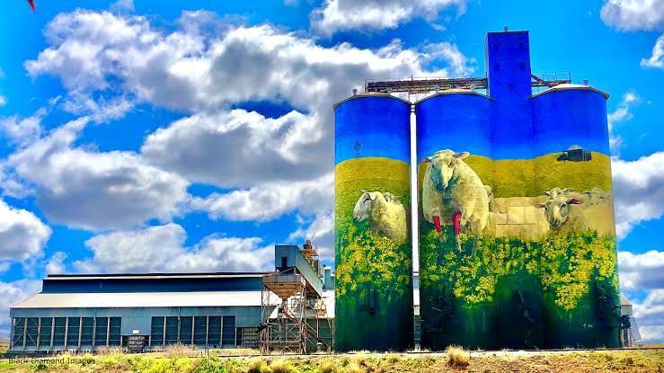 Merriwa Silos Art — Merriwa Motor Inn & Motel In Merriwa NSW