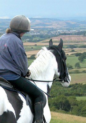 Saddle fitter - Halesworth, Suffolk - Juddpurs Saddlery - horse