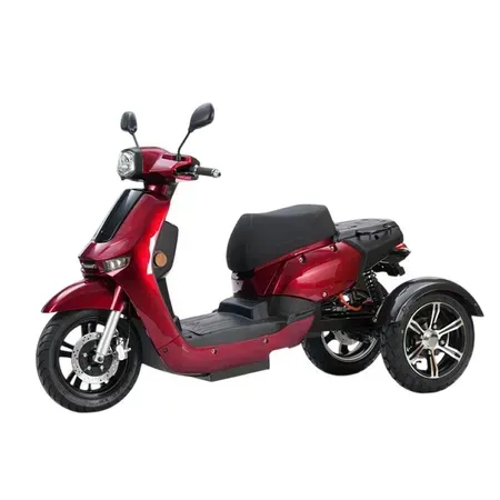 For Motion Trion three-wheeled mobility scooter, 45 km/h, 53 Ah lithium battery (approx. 85 km)