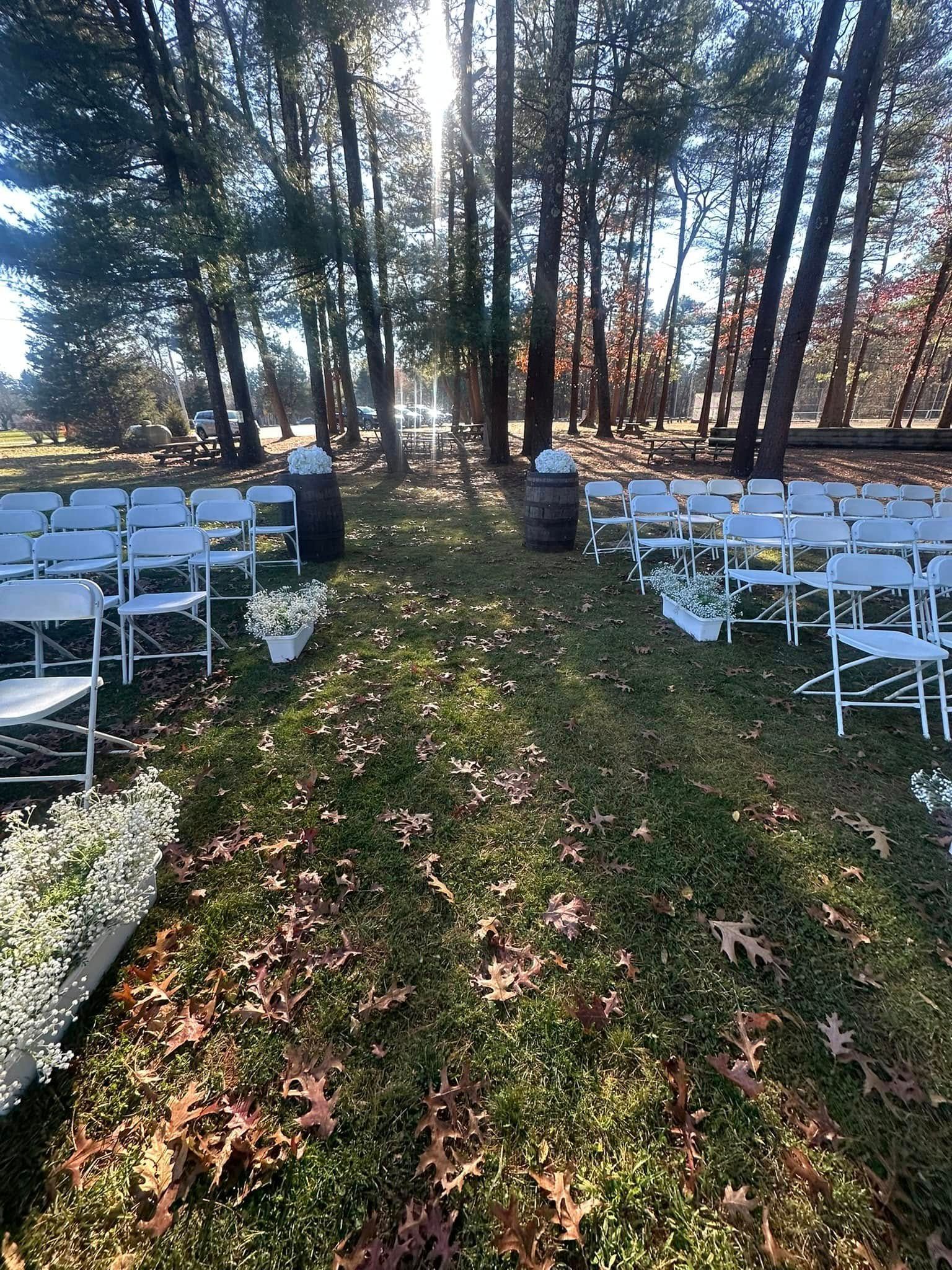 A row of white chairs are lined up in the grass in the middle of a forest.