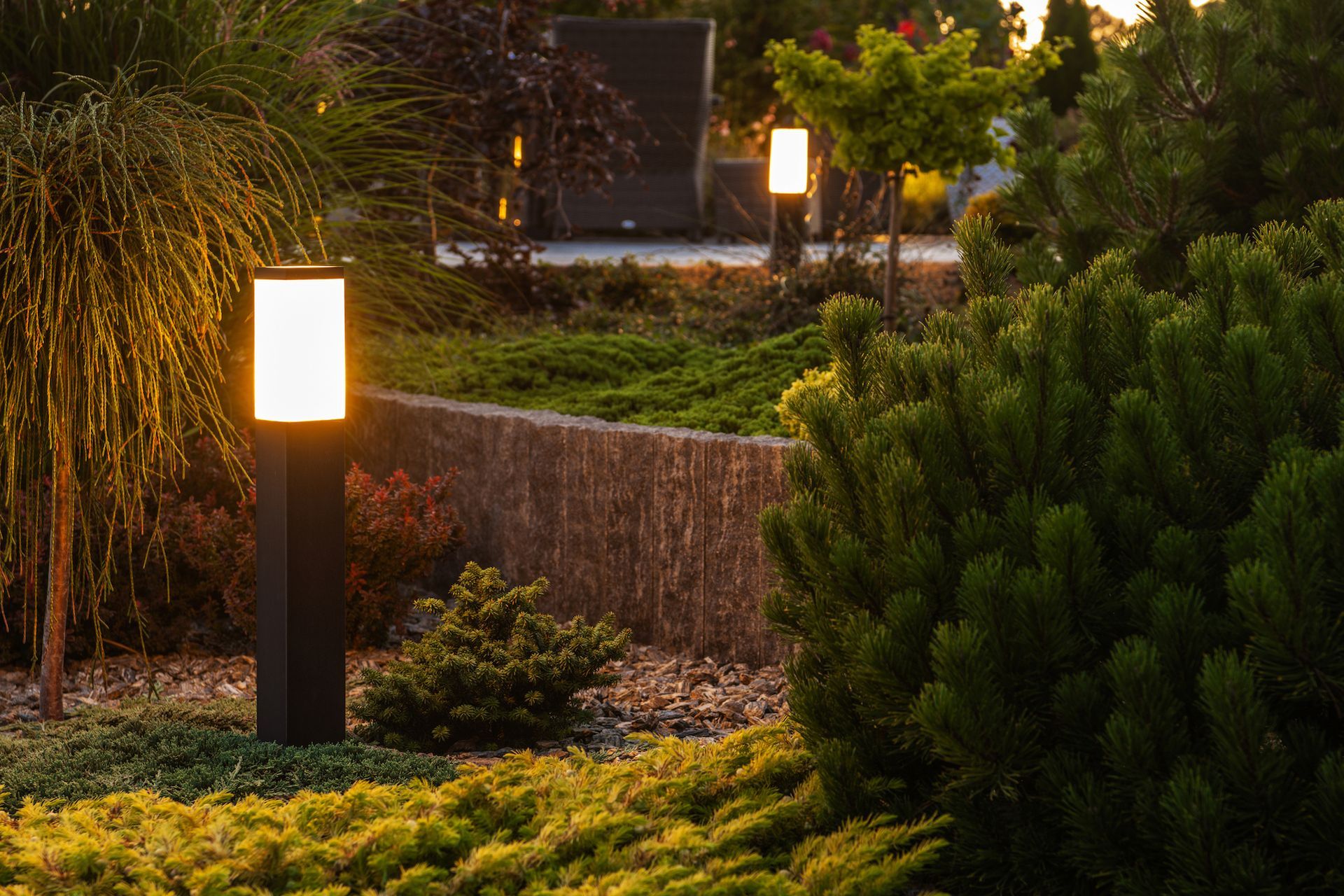 Illuminated garden with landscape lighting and lush greenery.