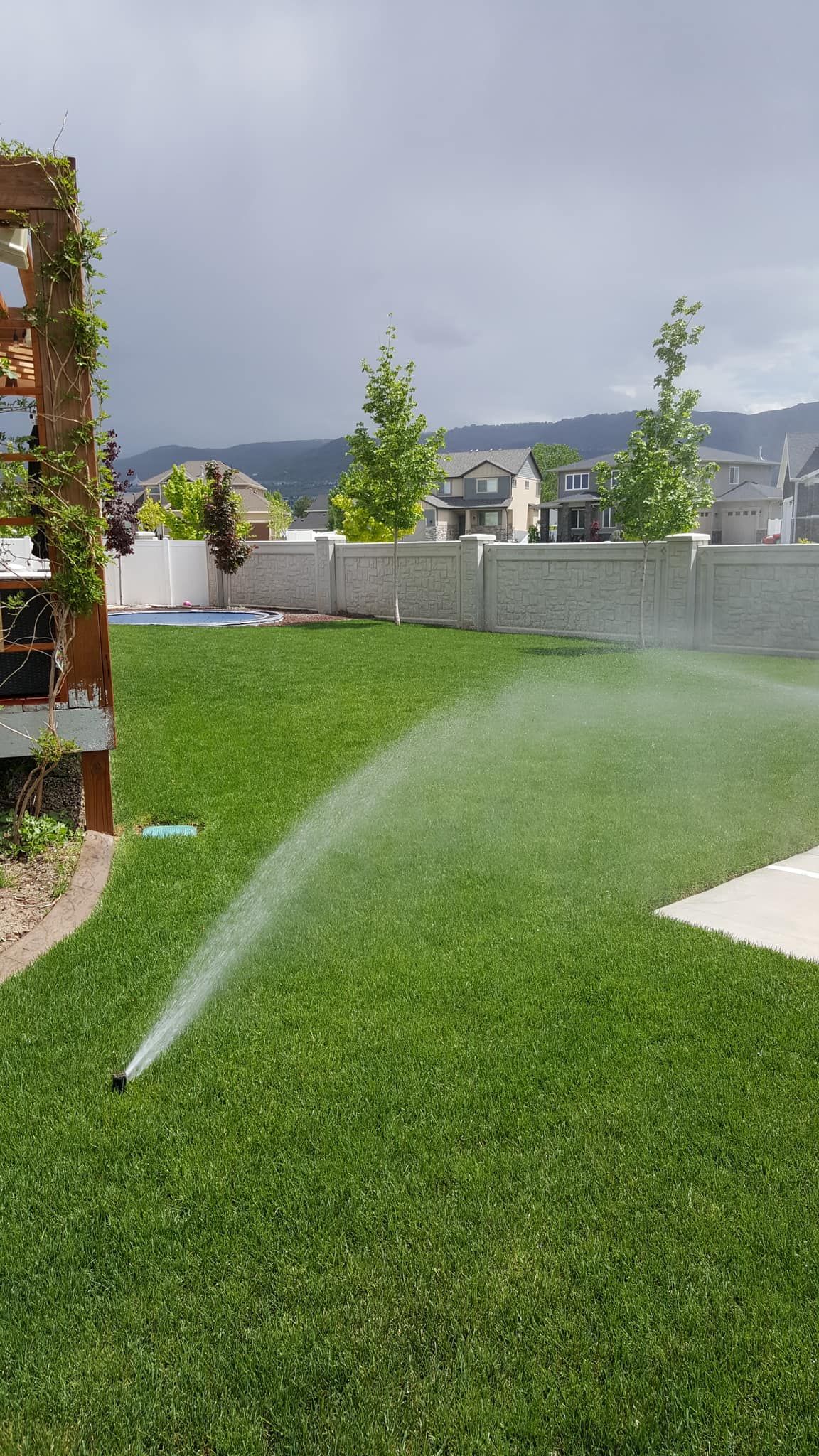 Sprinkler watering green lawn in backyard, gray sky above with mountains in the background.