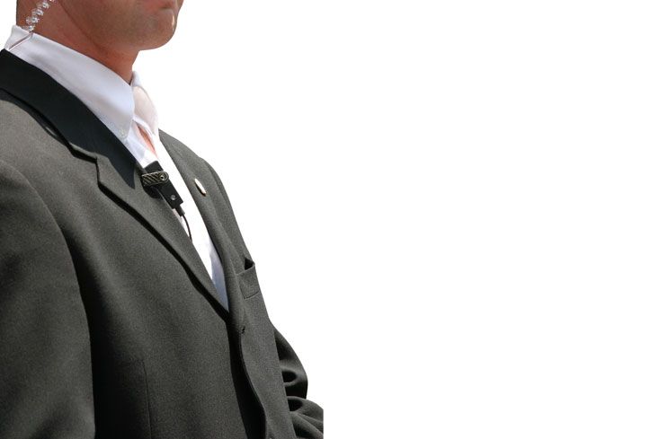 ASESORES EN SEGURIDAD Y PROTECCIÓN EJECUTIVA SA DE CV