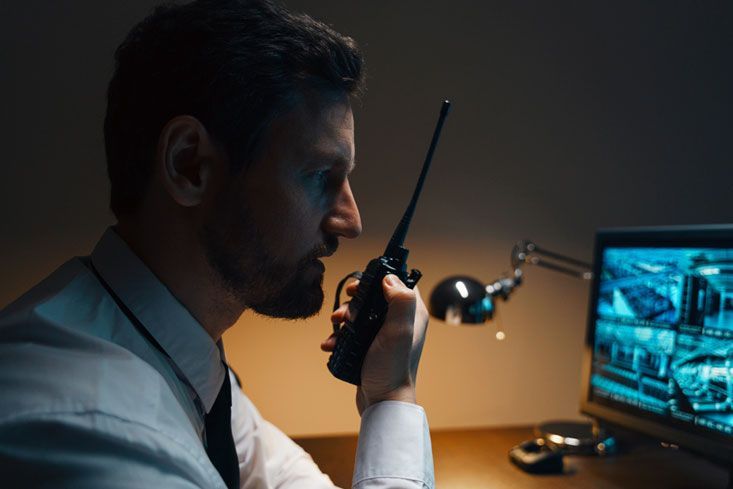 ASESORES EN SEGURIDAD Y PROTECCIÓN EJECUTIVA SA DE CV