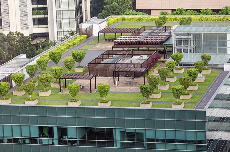 A rooftop garden with trees and shrubs on top of a building.
