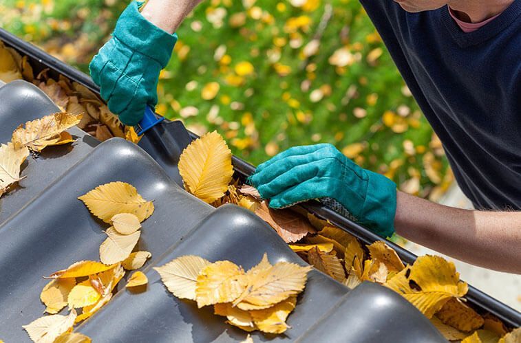 A man is cleaning a gutter of leaves on a roof.