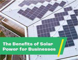 Types of Solar Panels: Your Extensive Guide | 8MSolar