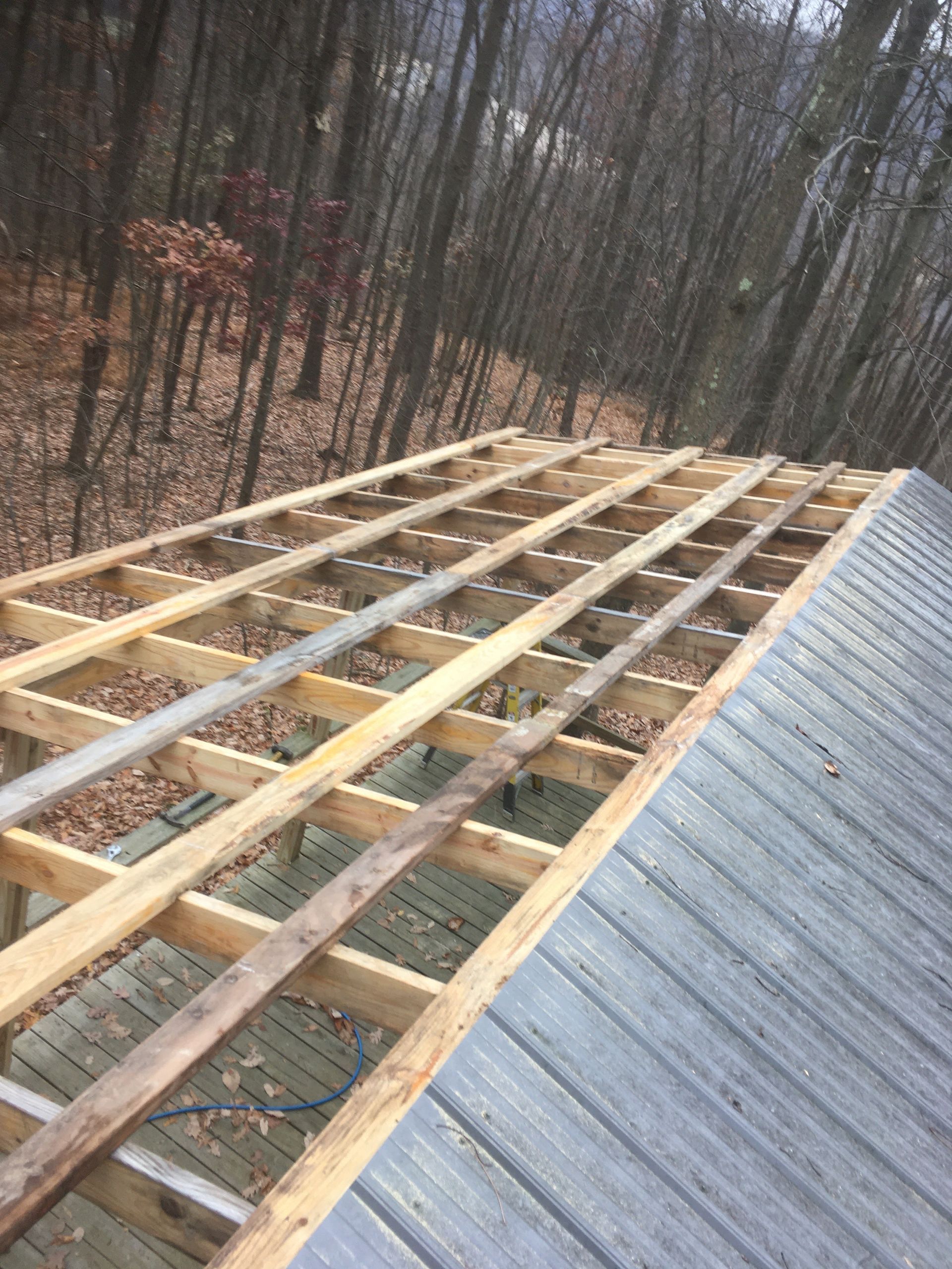 Wooden roof framing on a metal roof, surrounded by bare trees and fallen leaves.