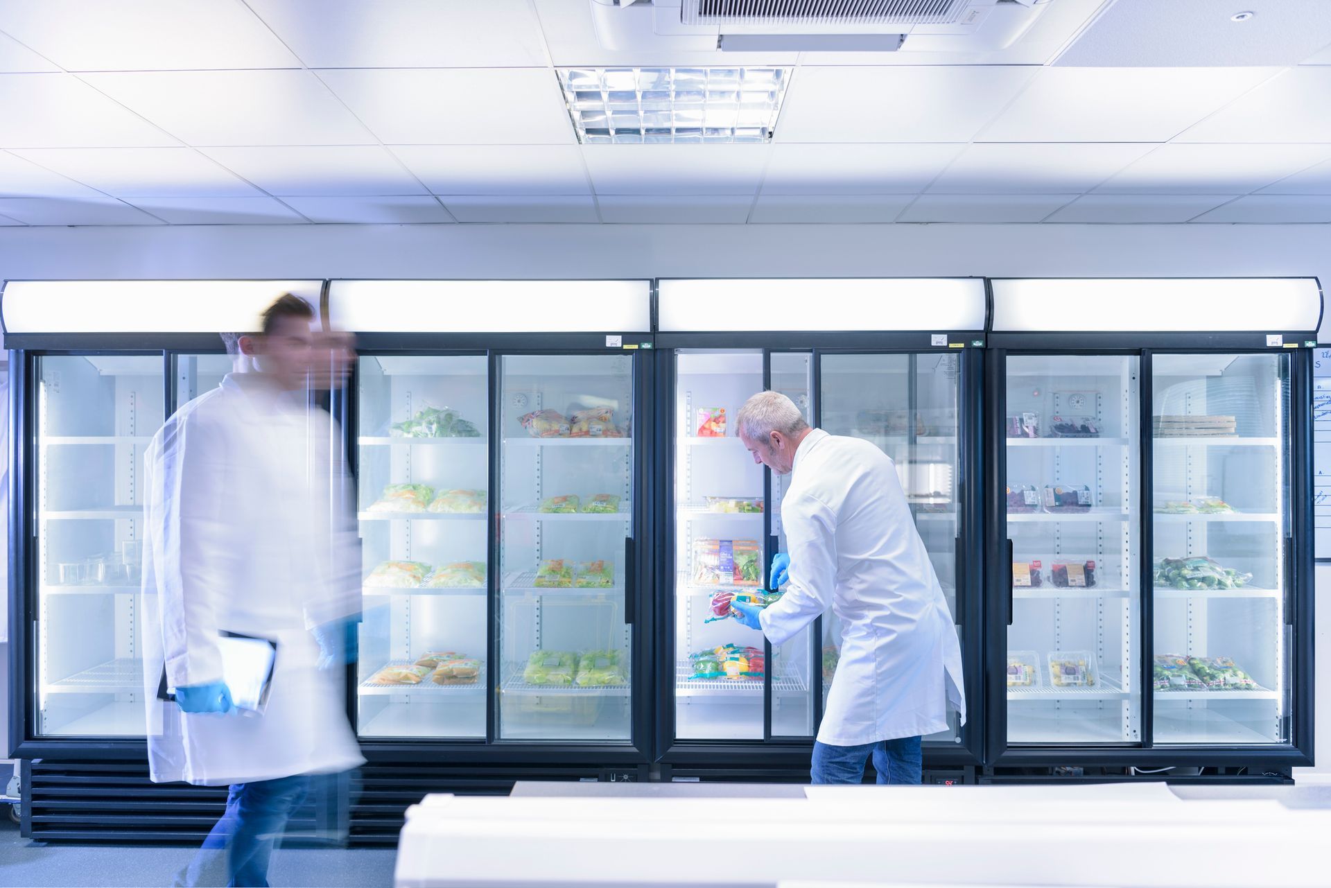 Scientists inspecting food for freshness in laboratory in food packaging printing factory.