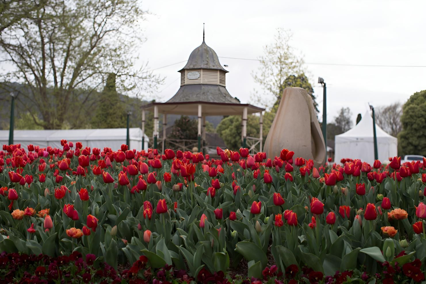Red Tulips In Flowerbed With Gazebo — JSF Interiors Goulburn in Bowral, NSW