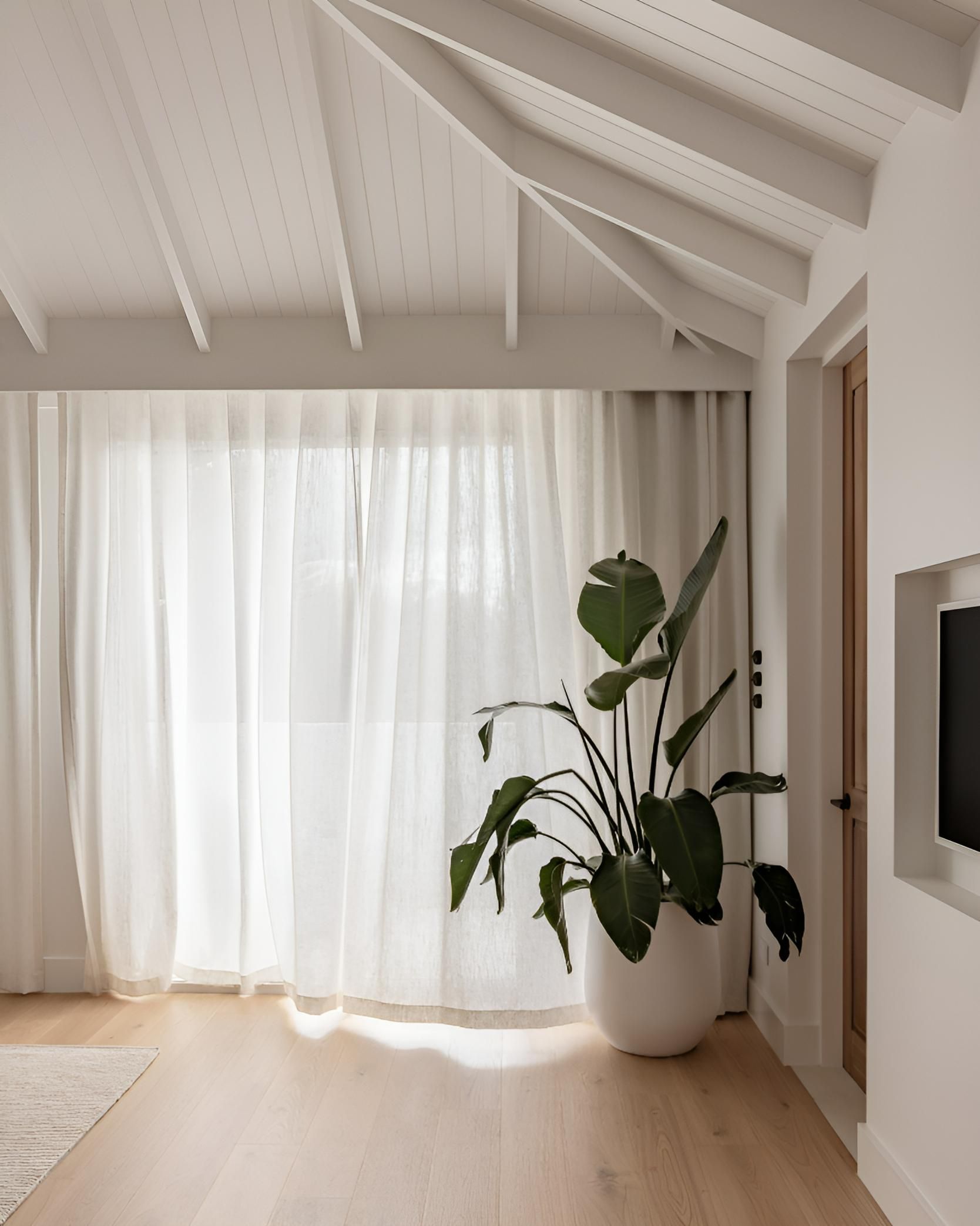 Bright Room With Sheer White Curtains And Large Potted Plant — JSF Interiors Goulburn in Albion Park, NSW