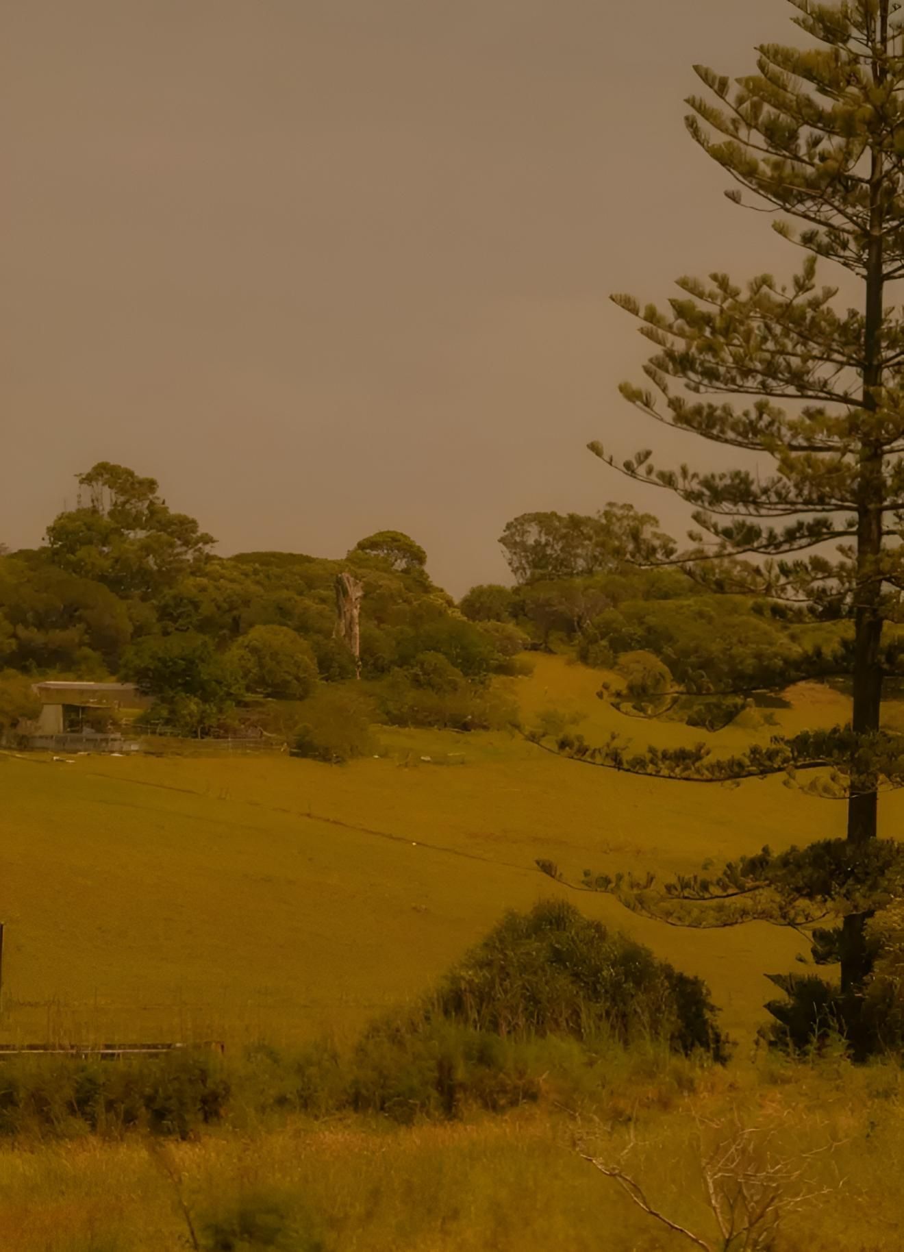 Rolling Farmland With Green And Yellow Fields — JSF Interiors Goulburn in Berry, NSW