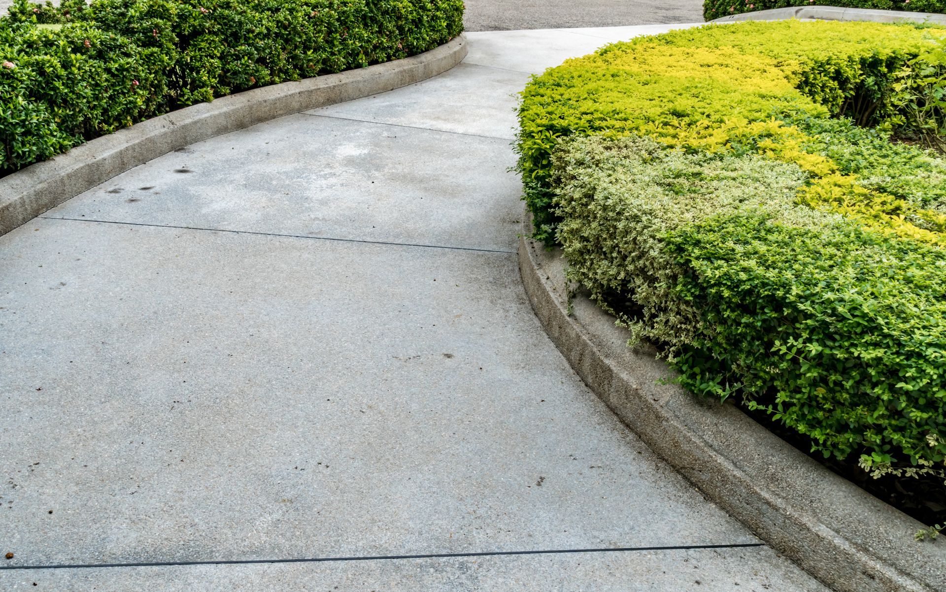 A concrete walkway with a curb and bushes on the side.