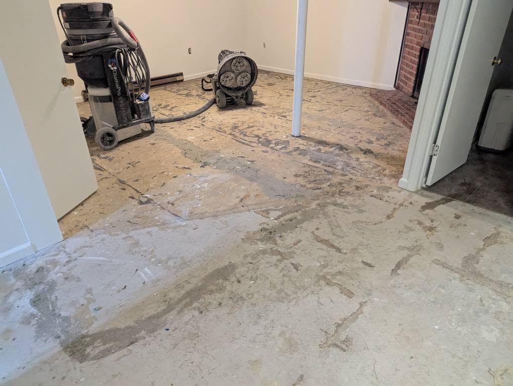 A concrete walkway with a curb and bushes on the side.