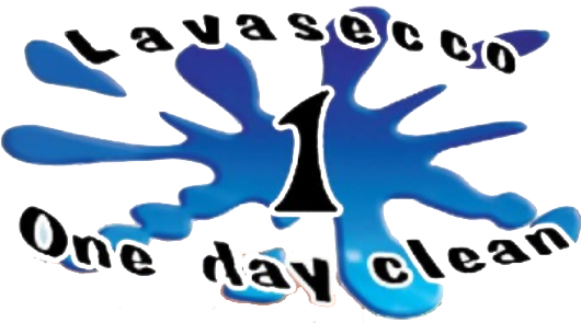 Logo della lavanderia a secco 