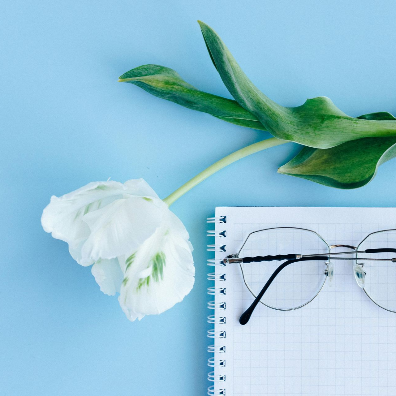 Holistische coaching, integratie van lichaam, geest en ziel, transformatie na de groei.