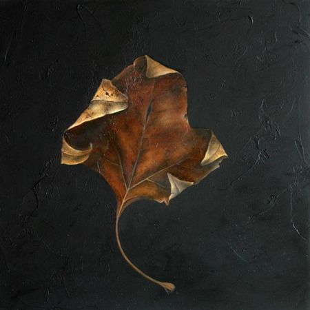 Leaf Number 12, 12 inches by 12 inches, Oil on Panel