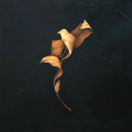Leaf Number 2, 12 imches by 12 imches, Oil on Panel