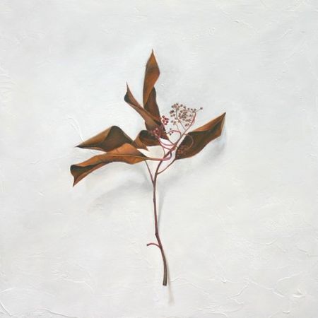 Leaf Number 3, 12 nches by 12 inches, Oil on Panel