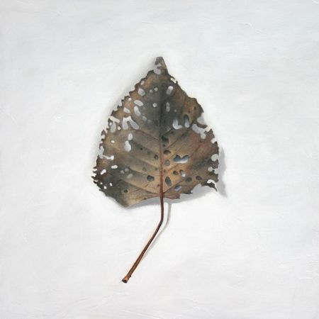 Leaf Number 5, 12 inches by 12 inches, Oil on Panel