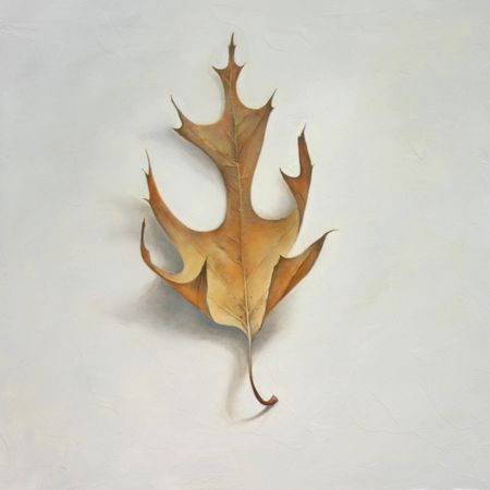 Leaf Number 6, 12 inches by 12 inches, Oil on Panel
