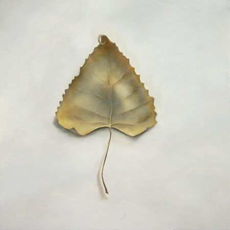 Leaf Number 7, 12 Inches by 12 inches, Oil on Panel