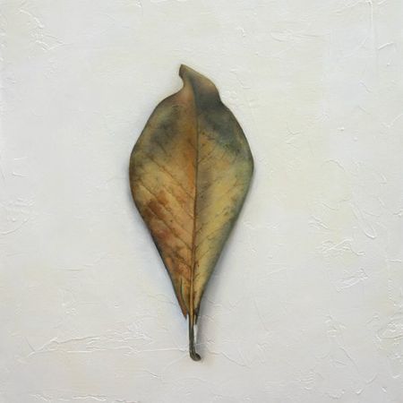 Leaf Number 8, 12 inches by 12 inches, Oil on Panel