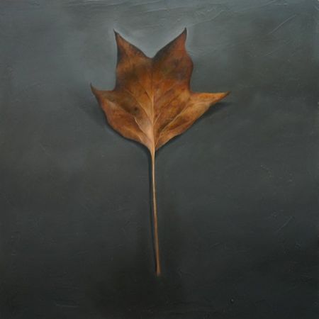 Leaf Number 9, 12 inches by 12 inches, Oil on Panel