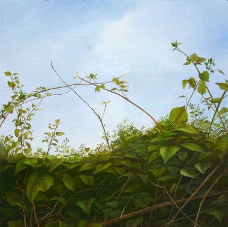 Thicket, 15 inches by 15 inches, oil on panel