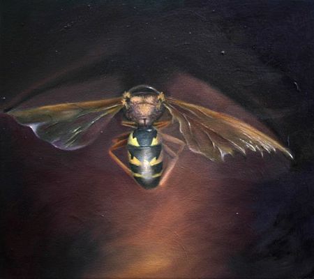 Wasp, 16 inches by 18 inches, oil on canvas