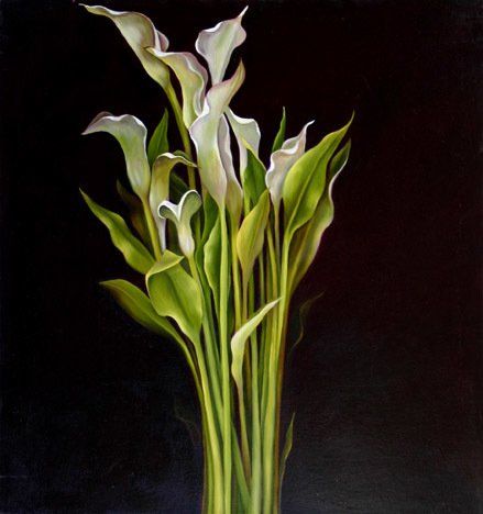 Large Calla Lilies,  32 inches by 34 inches, oil on canvas