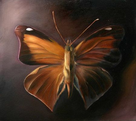 Butterfly 2, 16 inches by 16 inches, oil on canvas