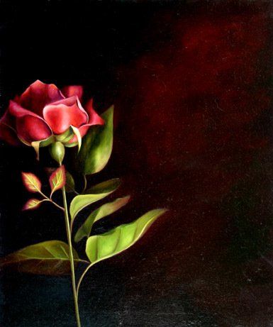 Red Rose, 20 inches by 24 inches, oil on canvas