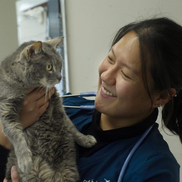 Dr Clarissa Chua Dr Clarissa Chua