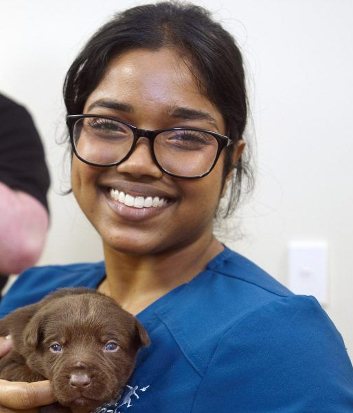 Dr Dewmi Herath Mudiyanselage Dr Dewmi Herath Mudiyanselage