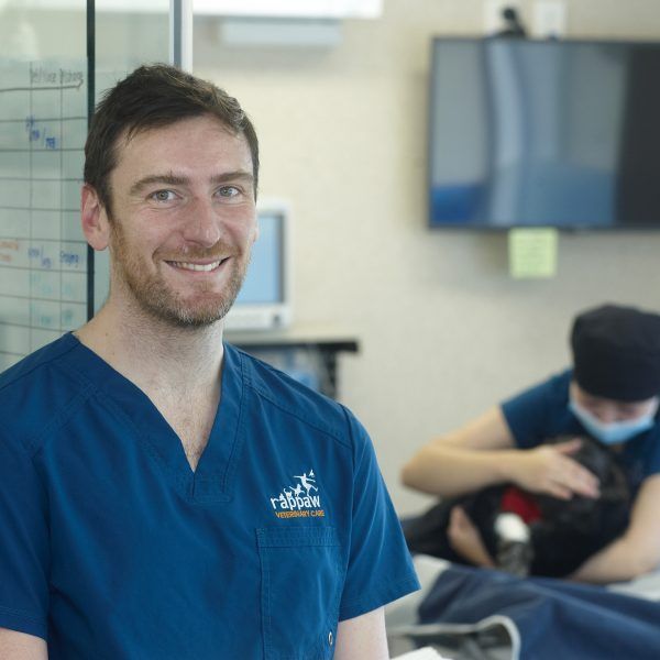 Dr Andrew Hewitt Dr Andrew Hewitt