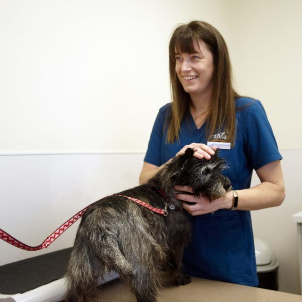 Dr Sarah Procter Dr Sarah Procter