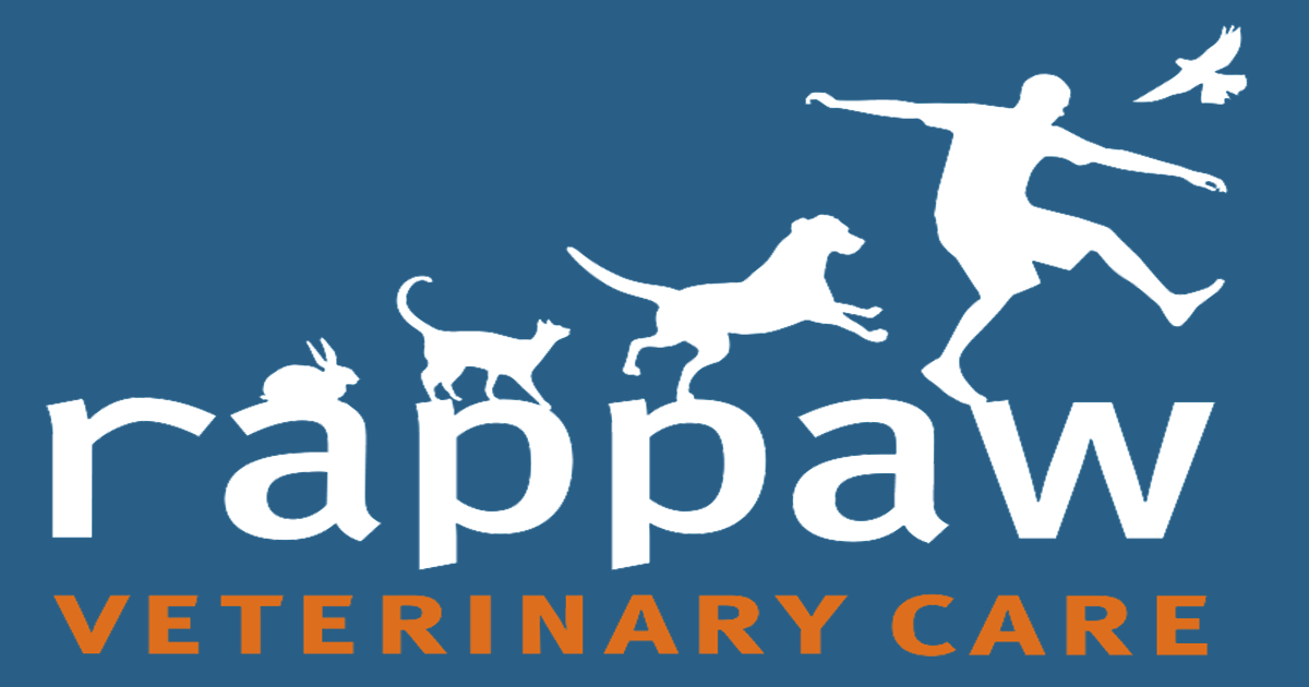 Rappaw Central Veterinary Hospital