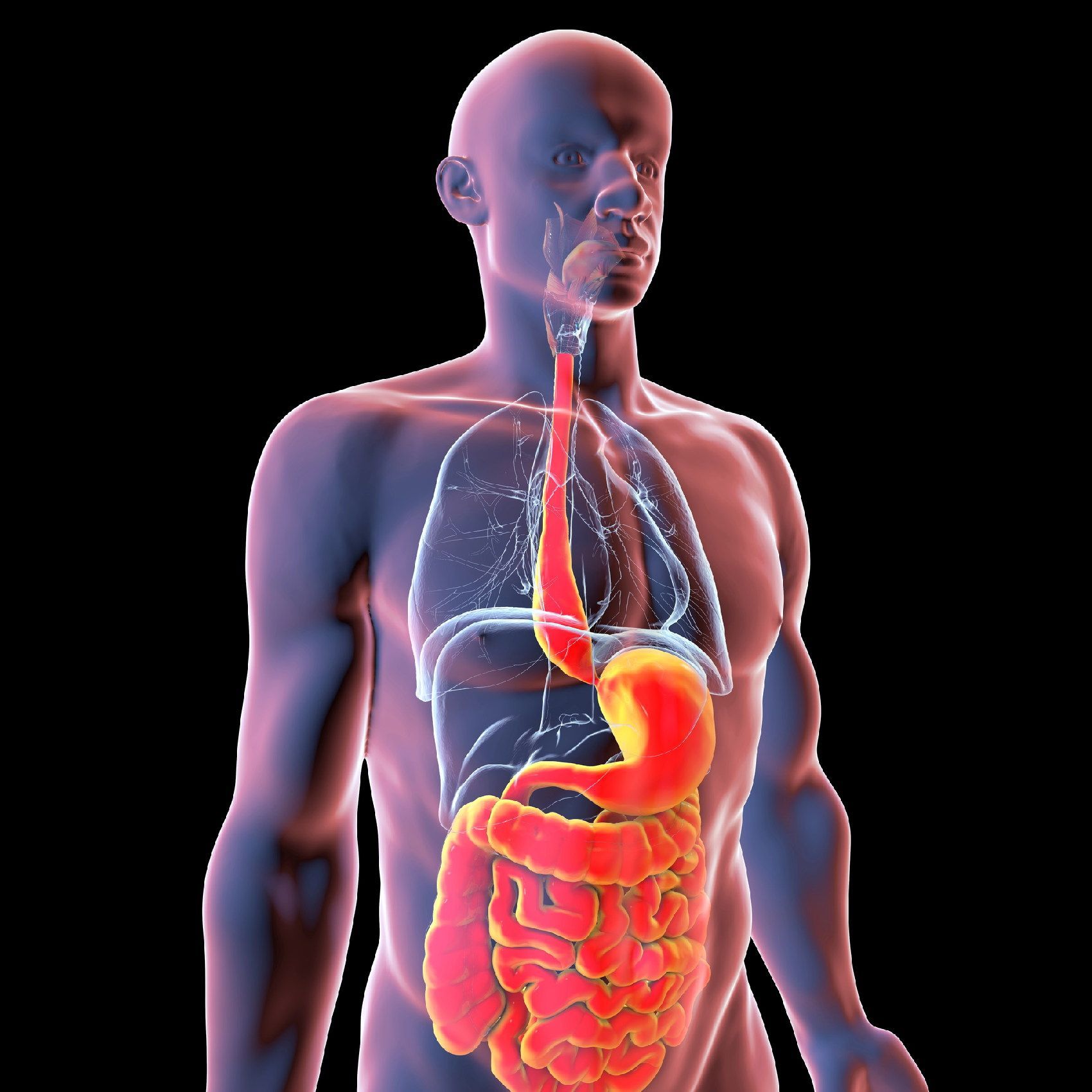 Acalasia esofagea: sintomi, diagnosi e trattamenti. Dott. Sferrazza ad Agrigento e Palermo 