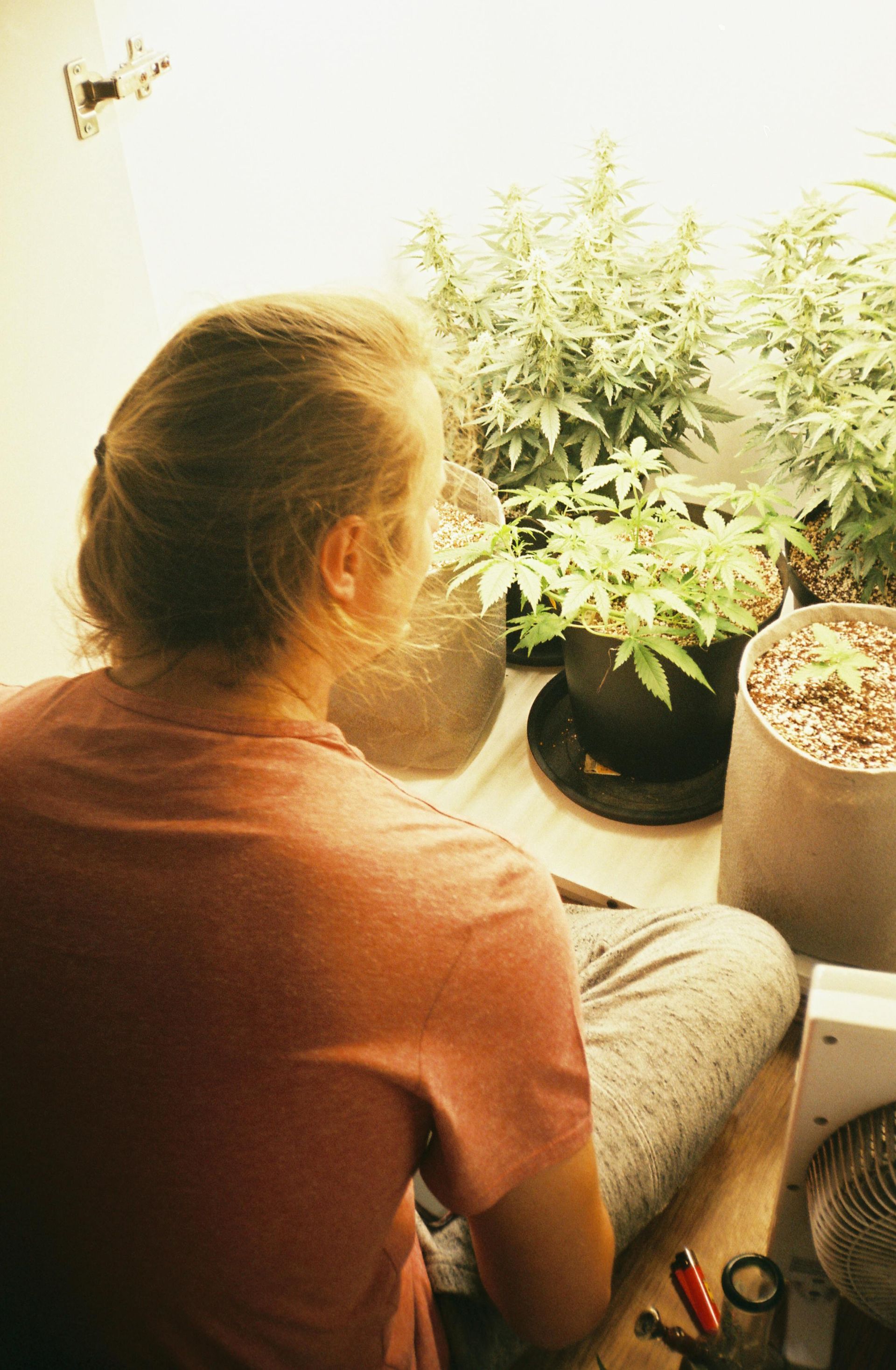 A man is sitting on the floor in front of potted plants.