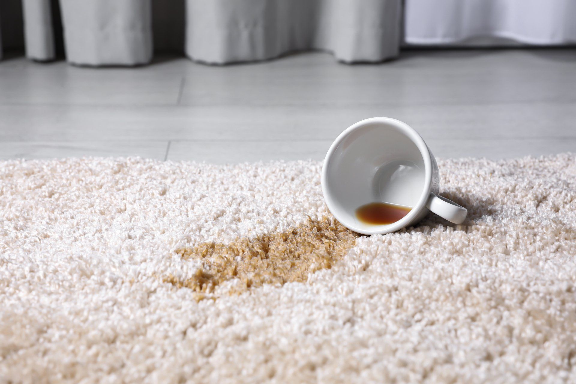 Carpet Cleaning Northern California North Coast Carpet Care