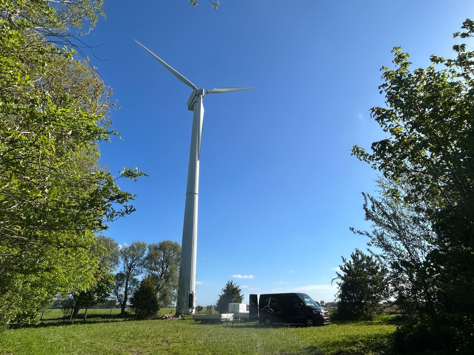 Tall wind turbine in a sunny green field, framed by trees under a clear blue sky.