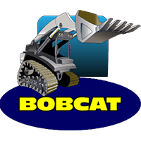 Bobcat