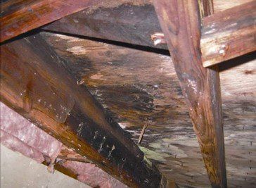 Wood without foam spray insulation