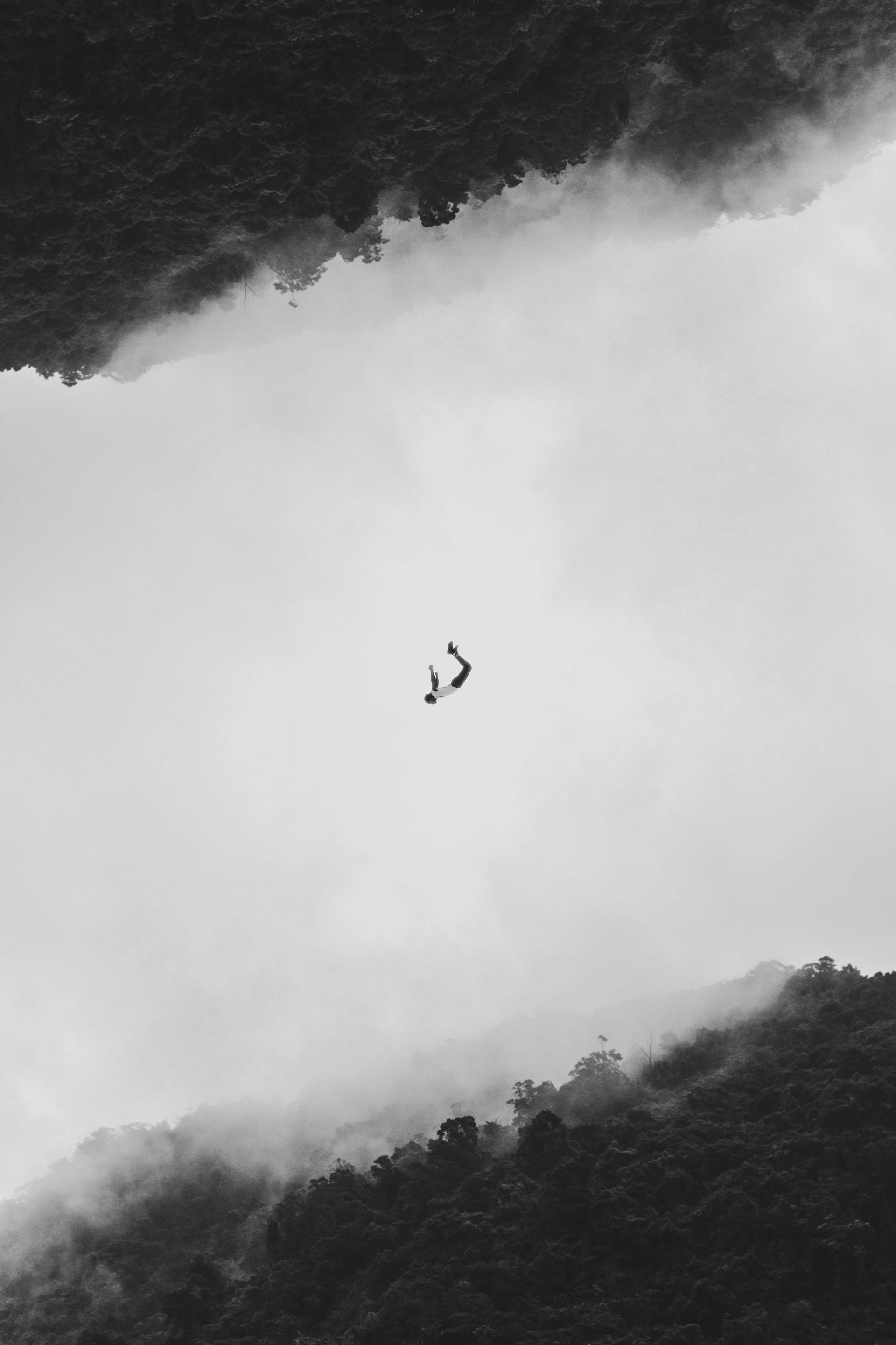 A black and white photo of two birds flying in the sky over a forest.