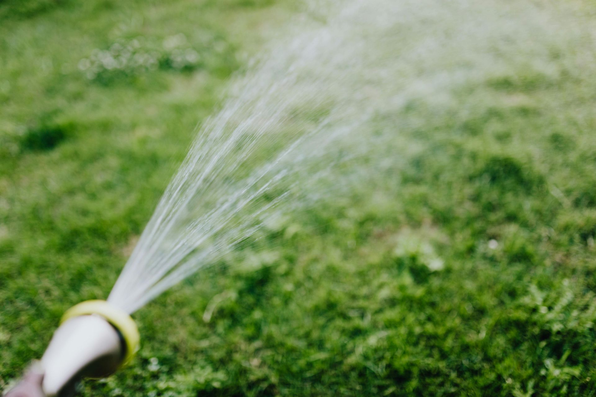A person is watering a lawn with a hose.