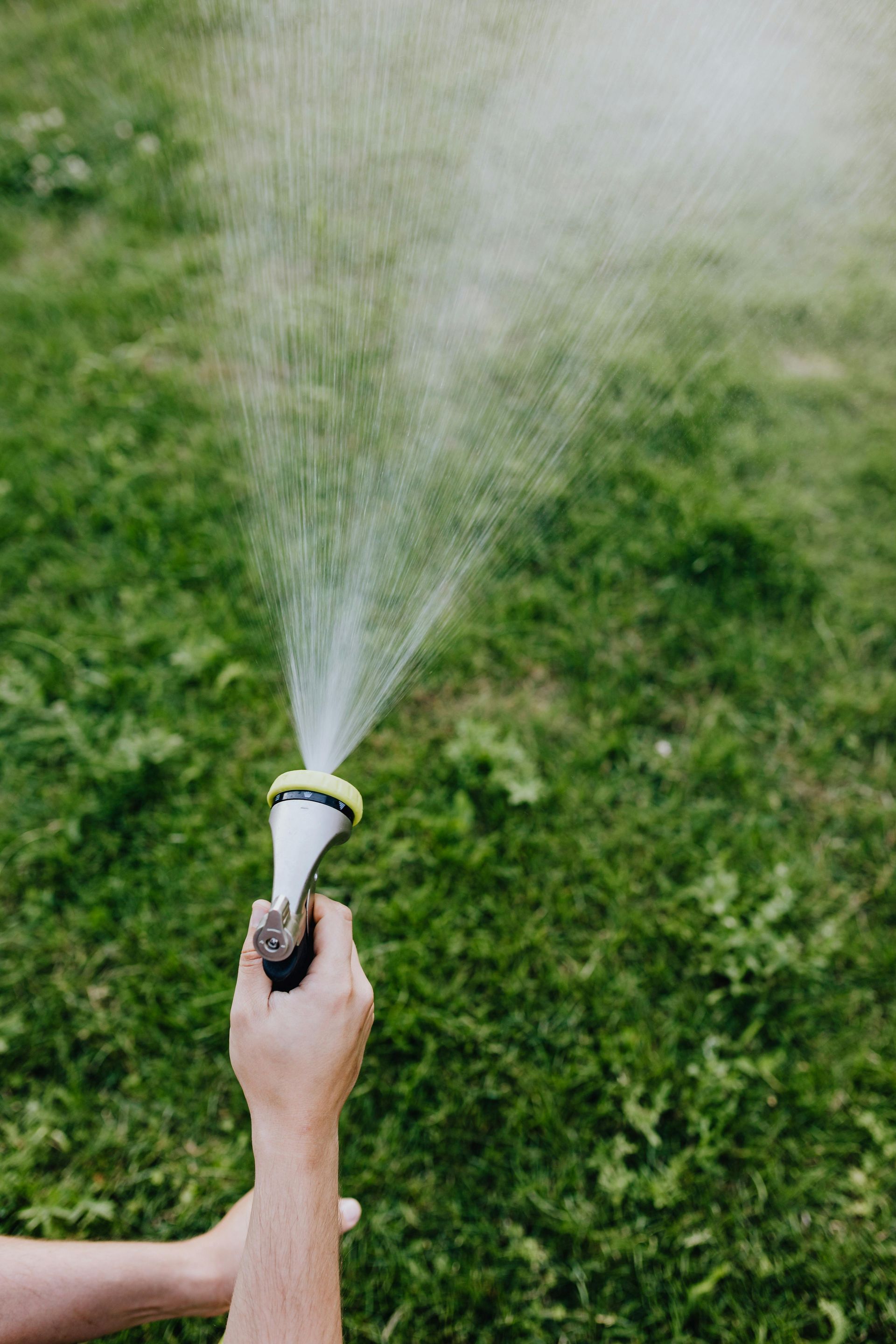 A person is spraying water from a hose on a lush green lawn.