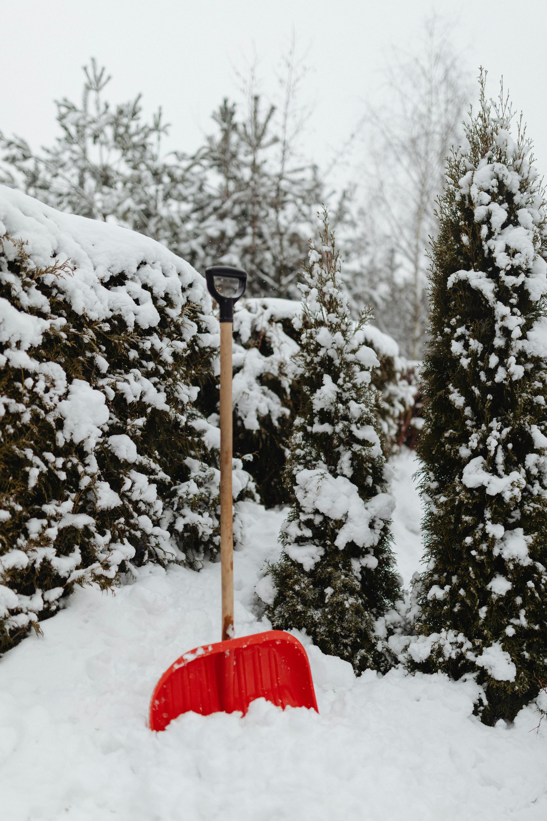 A red snow shovel is sitting in the snow.