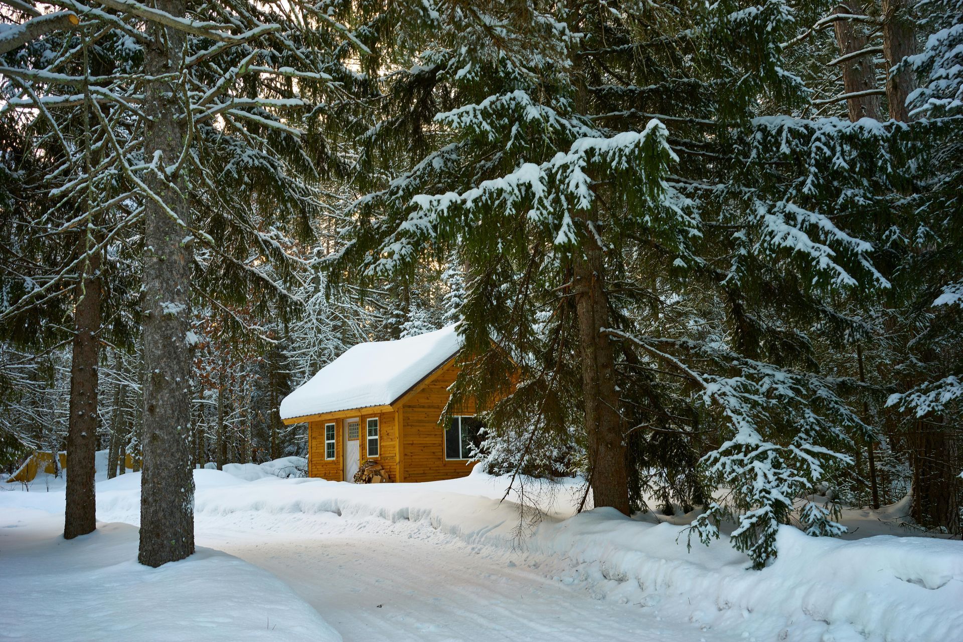 A small cabin in the middle of a snowy forest